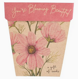 Sow 'n Sow Blooming Beautiful Gift of Seeds