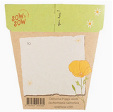 Sow 'n Sow California Poppy Gift of Seeds