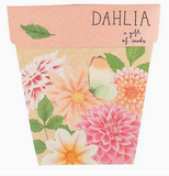 Sow 'n Sow Dahlia Gift of Seeds