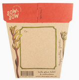 Sow 'n Sow Kangaroo Paw Gift of Seeds