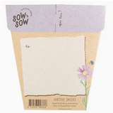 Sow 'n Sow Native Daisies Gift of Seeds
