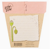 Sow 'n Sow Poppy Gift of Seeds