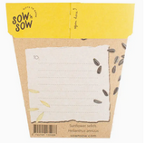 Sow 'n Sow Sunflower Gift of Seeds