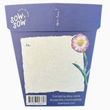 Sow 'n Sow With Sympathy Gift of Seeds