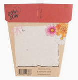 Sow 'n Sow Xmas Blooms Gift of Seeds