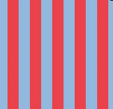 Project 10- Red Blue Stripe Mini Insulated Tote
