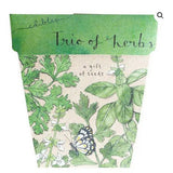 Sow n' Sow Trio of Herbs Gift of Seeds
