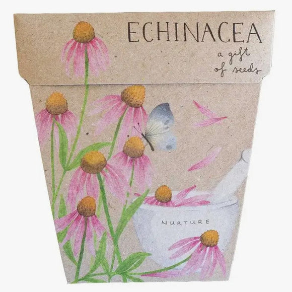 Sow n' Sow Echinacea Gift of Seed