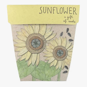 Sow n' Sow Sunflower Gift of Seeds