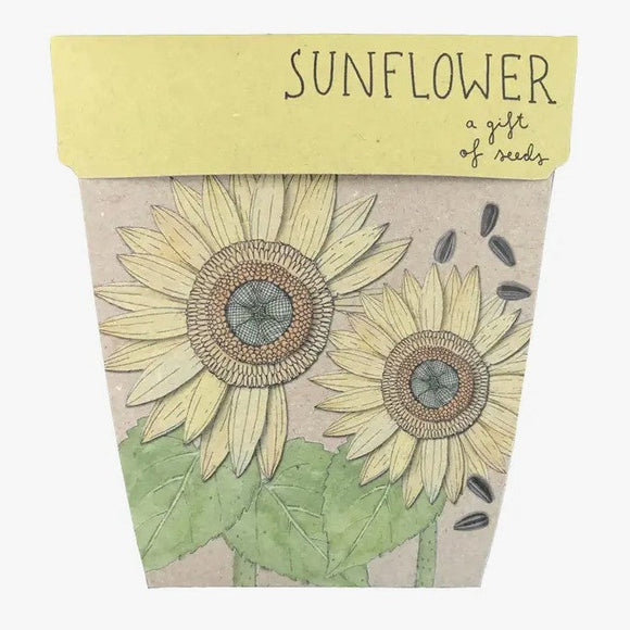 Sow n' Sow Sunflower Gift of Seeds