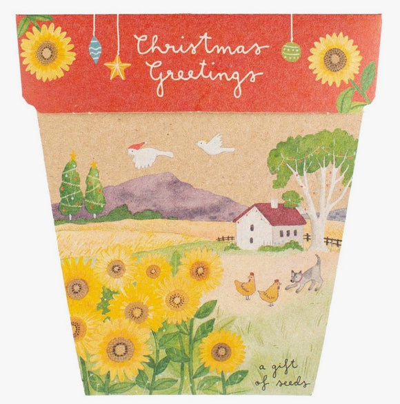Sow n' Sow Christmas Sunflower Gift of Seeds