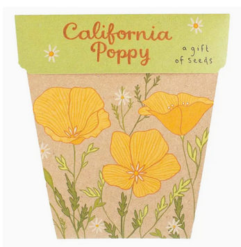 Sow n' Sow California Poppy Gift of Seeds