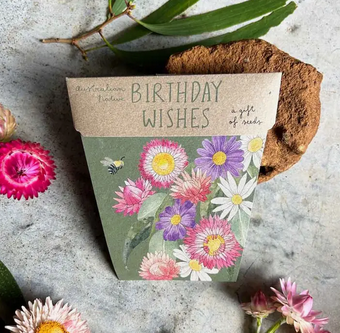 Sow n' Sow Birthday Wishes Gift of Seeds