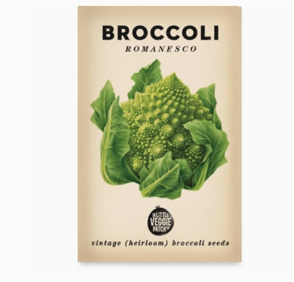 Little Veggie Patch Co. Broccoli Romanesco Heirloom Seeds