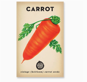 Little Veggie Patch Co. Carrot 'baby Amsterdam' Heirloom Seeds