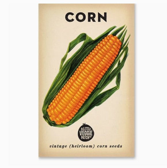 Little Veggie Patch Co. Corn 'sweet' Heirloom Seeds