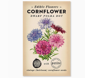 Little Veggie Patch Co. Cornflower "Polka Dot" Heirloom Seeds