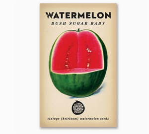 Little Veggie Patch Co. Watermelon "Bush Sugar Baby" Heirloom Seeds