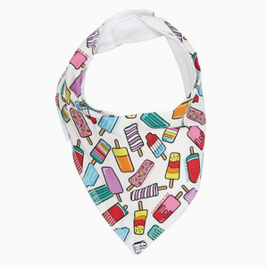 Chuckles & Caz Ice Blocks Dribble Bib