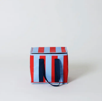 Project 10- Red Blue Stripe Mini Insulated Tote
