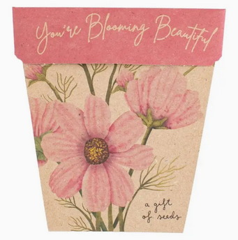 Sow 'n Sow Blooming Beautiful Gift of Seeds