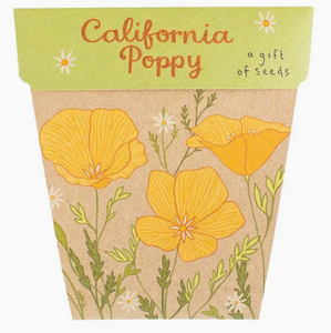 Sow 'n Sow California Poppy Gift of Seeds