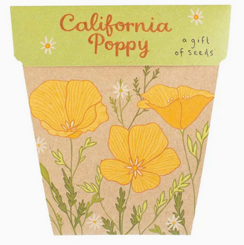 Sow 'n Sow California Poppy Gift of Seeds