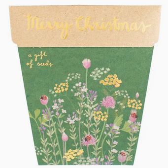 Sow 'n Sow Christmas Herbs Gift of Seeds