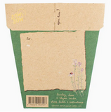 Sow 'n Sow Christmas Herbs Gift of Seeds