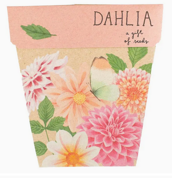 Sow 'n Sow Dahlia Gift of Seeds