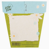 Sow 'n Sow Daisy Gift of Seeds