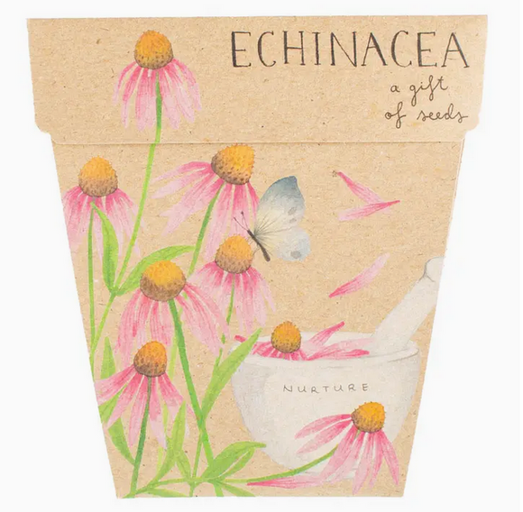 Sow 'n Sow Echinacea Gift of Seed