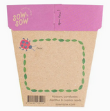 Sow 'n Sow Enchanted Garden Gift of Seeds