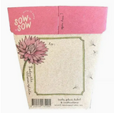 Sow 'n Sow Everlasting Daisy Gift of Seeds
