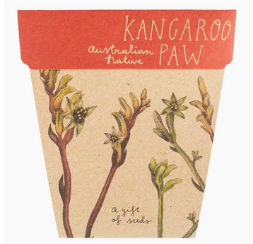 Sow 'n Sow Kangaroo Paw Gift of Seeds