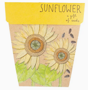 Sow 'n Sow Sunflower Gift of Seeds
