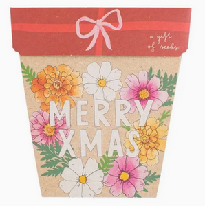 Sow 'n Sow Xmas Blooms Gift of Seeds