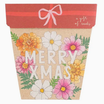 Sow 'n Sow Xmas Blooms Gift of Seeds