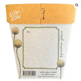 Sow n' Sow Billy Buttons Gift of Seeds