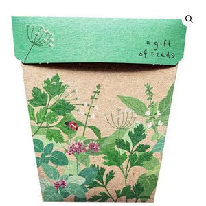 Sow n' Sow Garden Herbs Gift of Seeds