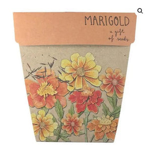 Sow n' Sow Marigolds Gift of Seeds