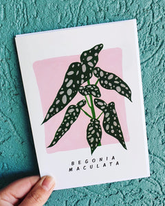 Begonia Greeting Card